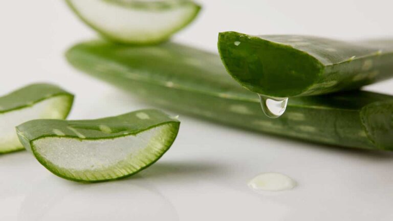 as-4-principais-plantas-que-sao-boas-para-a-pele-e-o-cabelo-e-faceis-de-cultivar