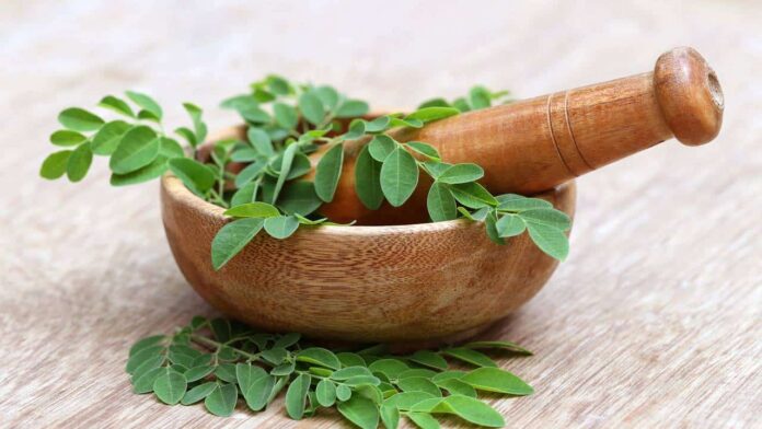 o-segredo-da-milenar-planta-que-se-tornou-a-solucao-preferida-para-cabelos-oleosos o-segredo-da-milenar-planta-que-se-tornou-a-solucao-preferida-para-cabelos-oleosos