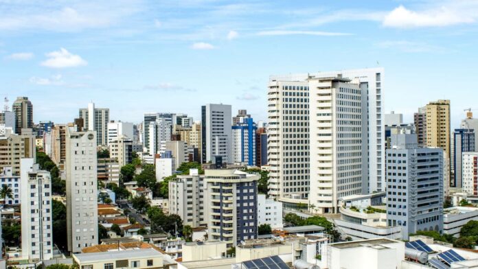 a-capital-mais-charmosa-do-brasil-ganha-novos-moradores