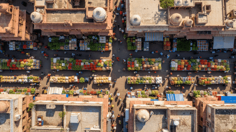 lei-polemica-faz-cidade-adotar-dieta-vegetariana-para-todos
