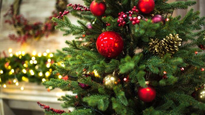 truques-simples-para-transformar-a-arvore-de-natal-no-destaque-da-decoracao-da-sua-casa truques-simples-para-transformar-a-arvore-de-natal-no-destaque-da-decoracao-da-sua-casa