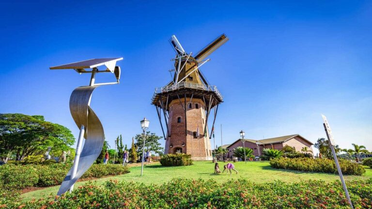 a-holanda-brasileira-esta-conquistando-moradores-pela-qualidade-de-vida-e-campos-floridos-de-tirar-o-folego