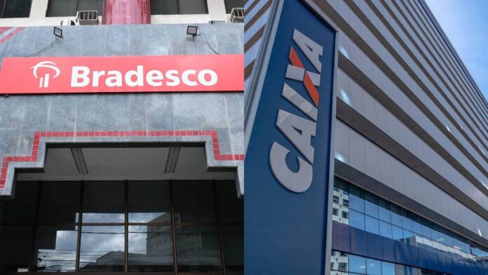 banco-central-alerta-brasileiros-que-possuem-contas-correntes-abertas-no-bradesco,-caixa-economica-federal-e-outros-bancos banco-central-alerta-brasileiros-que-possuem-contas-correntes-abertas-no-bradesco,-caixa-economica-federal-e-outros-bancos