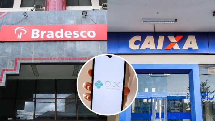 caixa-economica-federal-e-bradesco-emitem-alerta-dia-02/12-para-clientes-que-realizam-pagamentos-via-pix-com-frequencia caixa-economica-federal-e-bradesco-emitem-alerta-dia-02/12-para-clientes-que-realizam-pagamentos-via-pix-com-frequencia