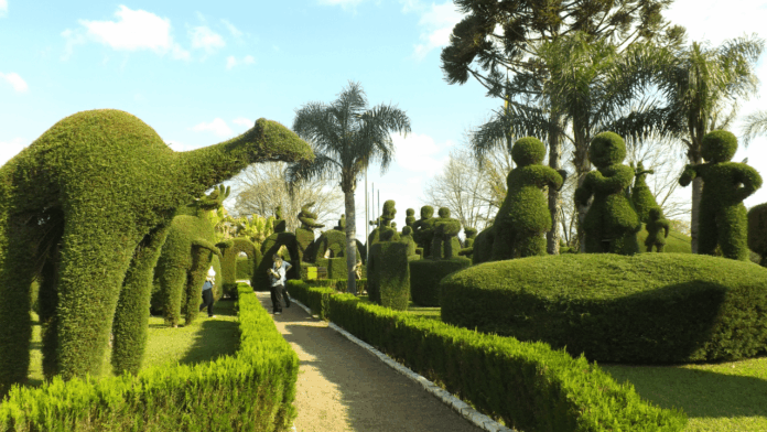 a-cidade-gaucha-de-2-mil-habitantes-onde-um-jardineiro-esculpiu-manualmente-mais-de-200-arvores a-cidade-gaucha-de-2-mil-habitantes-onde-um-jardineiro-esculpiu-manualmente-mais-de-200-arvores