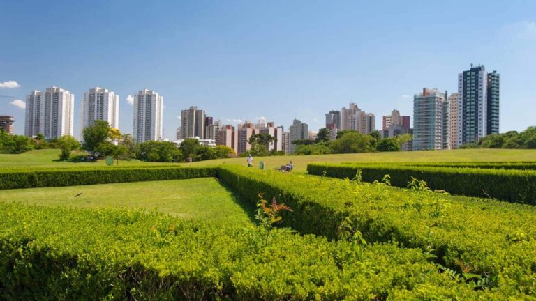 a-cidade-que-ensinou-o-planeta-a-andar-de-onibus-esta-no-brasil-e-alia-clima-europeu,-organizacao-e-areas-verdes