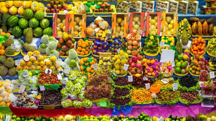 a-inseguranca-alimentar-atinge-mais-fortemente-esses-estados-do-brasil-e-gera-alerta-nacional a-inseguranca-alimentar-atinge-mais-fortemente-esses-estados-do-brasil-e-gera-alerta-nacional