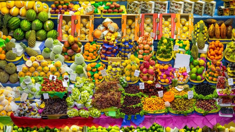 a-inseguranca-alimentar-atinge-mais-fortemente-esses-estados-do-brasil-e-gera-alerta-nacional