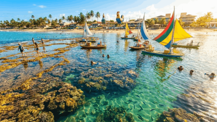 vila-pernambucana-eleita-10-vezes-a-melhor-praia-do-brasil:-jangadas-coloridas-e-aquarios-naturais-entre-corais vila-pernambucana-eleita-10-vezes-a-melhor-praia-do-brasil:-jangadas-coloridas-e-aquarios-naturais-entre-corais