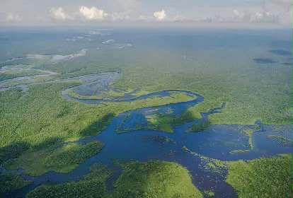 mpf-investiga-openai-para-desafio-de-ia-que-incentivou-buscas-por-sitios-arqueologicos-na-amazonia