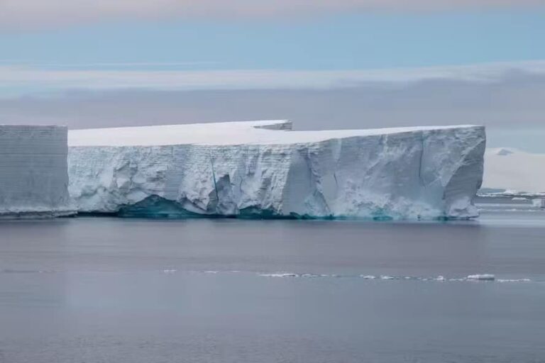 cientistas-buscam-navio-naufragado-e-fazem-descoberta-surpreendente-no-gelo-da-antartida